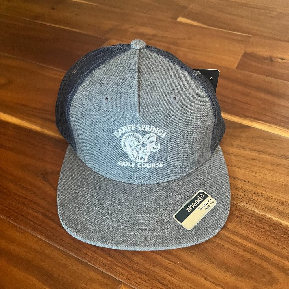 Youth Baseball Cap, Adjustable, Grey and Navy, Tags Attached, Size 7-12 Unisex